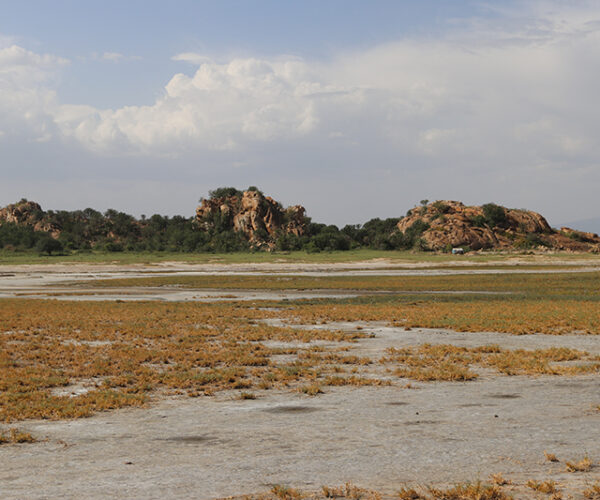 Outcropping geology in Eyasi region