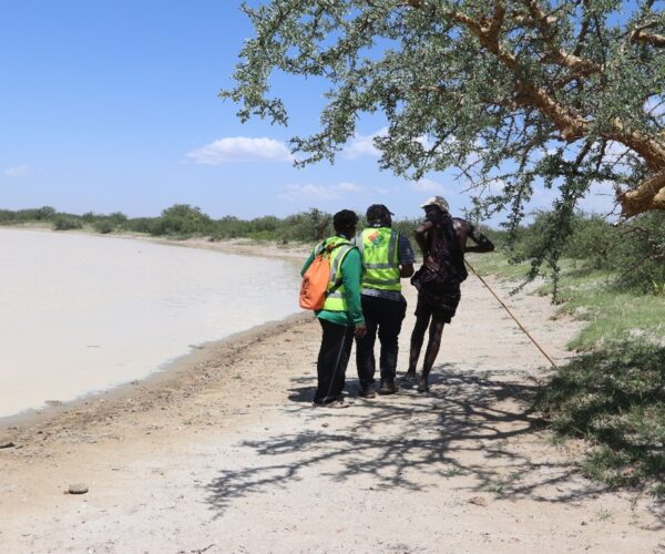 Shoreline of Lake Eyasi